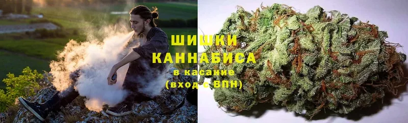 МЕГА ТОР  как найти наркотики  Ковылкино  Конопля OG Kush 